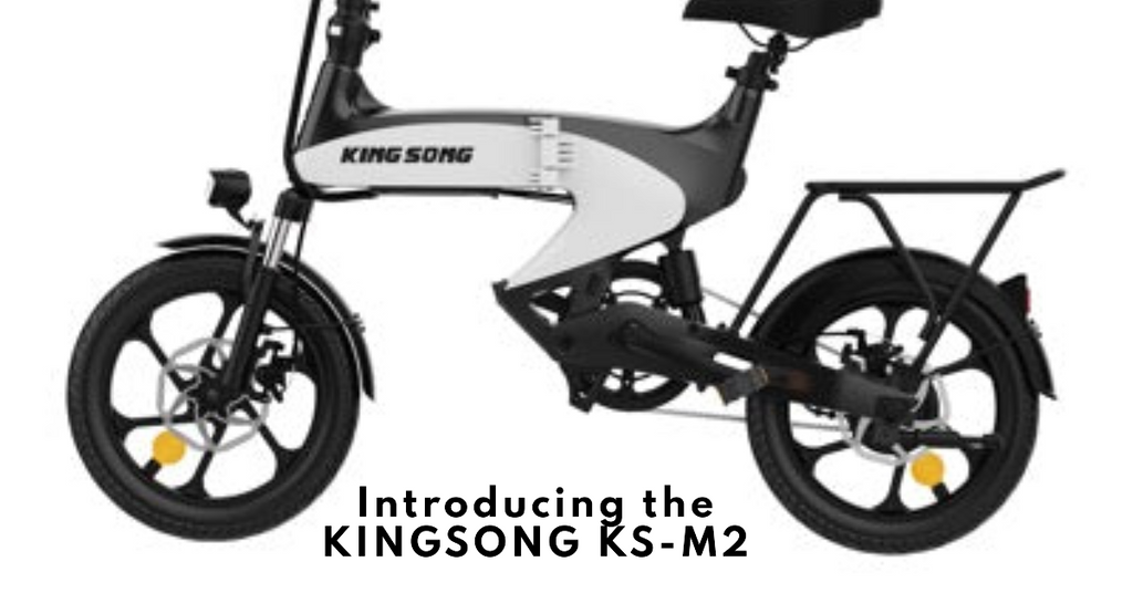Introducing the KINGSONG KS-M2